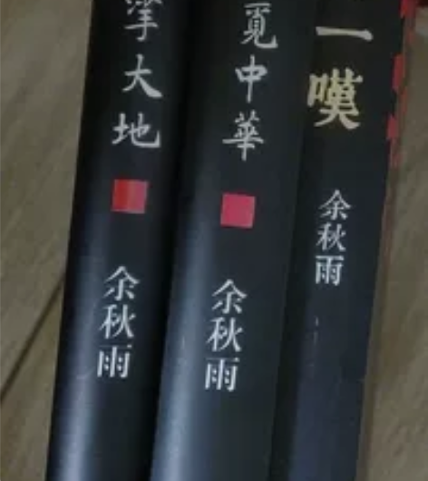 余秋雨的《千年一叹》《寻觅中华》《摩挲大地...