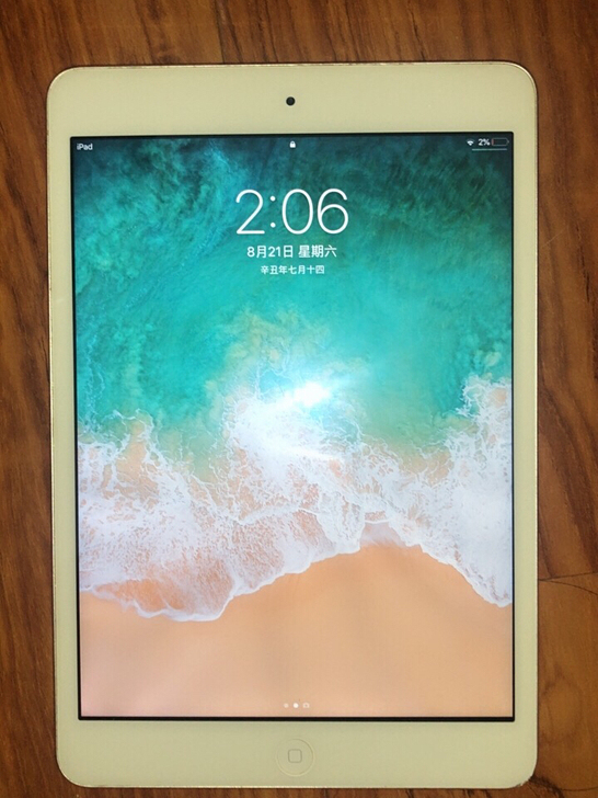 IPadmini2