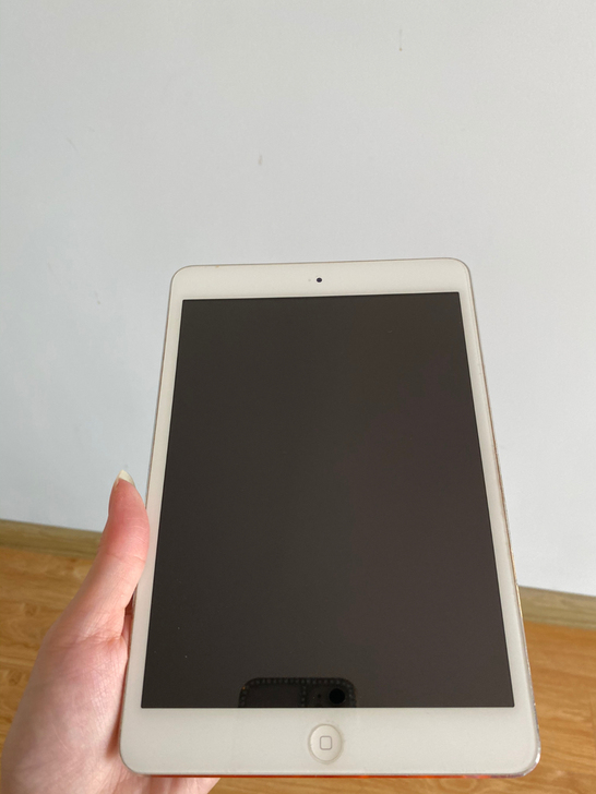 苹果iPad Mini 1 32g