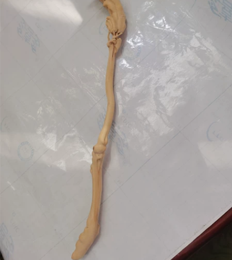 小叶黄杨木雕之挠痒痒手把件工艺品，一物一拍...
