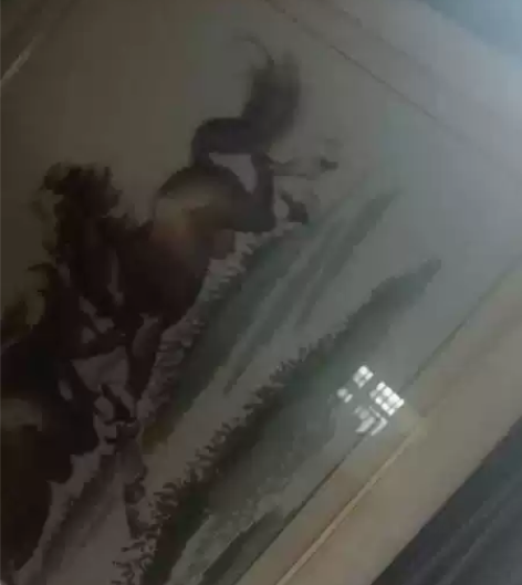 刺绣画，  一个四季平安 一个八马   自...