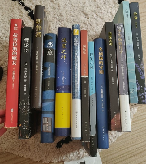 家里一部分的东野圭吾的悬疑侦探小说 《拉普...