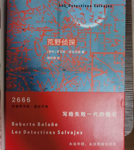 荒野侦探 波拉尼奥 智利 文学小说 书籍 ...