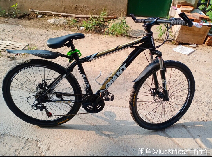 户外全新捷安特正品山地车自行车男女学生变速...