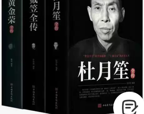杜月笙全传传戴笠黄金荣民国历史人物黑道小说...