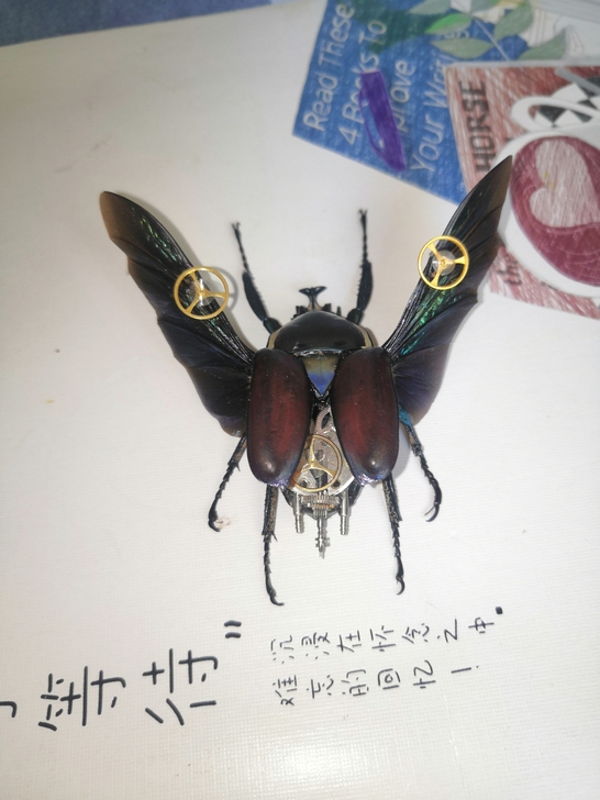 白条花金龟,蒸汽朋克标本,带框 优质实木,...