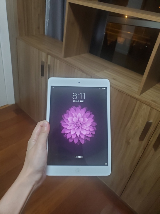 iPad迷你 第一代，可以正常使用。购于北...