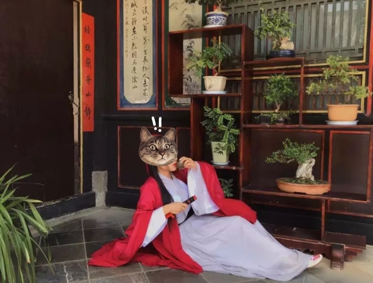侠客汉服女，魏晋风齐腰大袖衫，包括一件中衣...