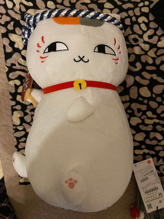 全新猫老师70非偏包邮