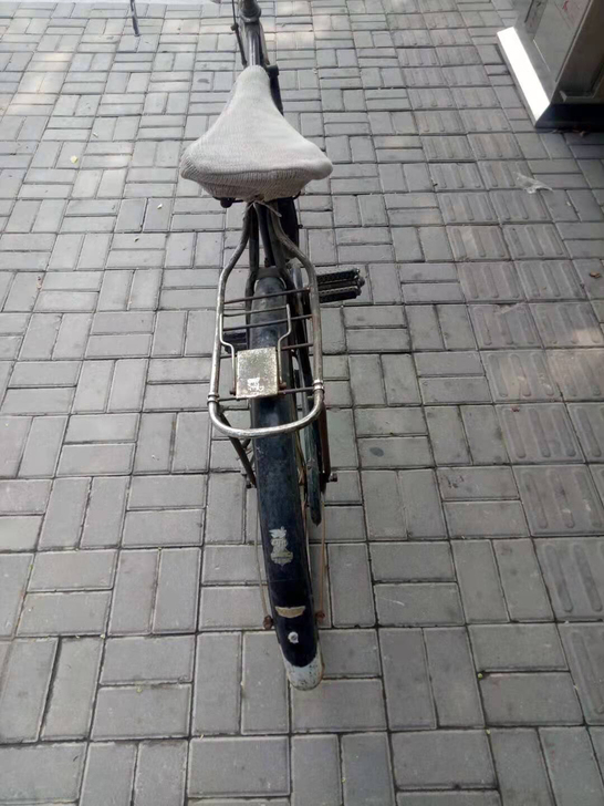 老飞鸽自行车