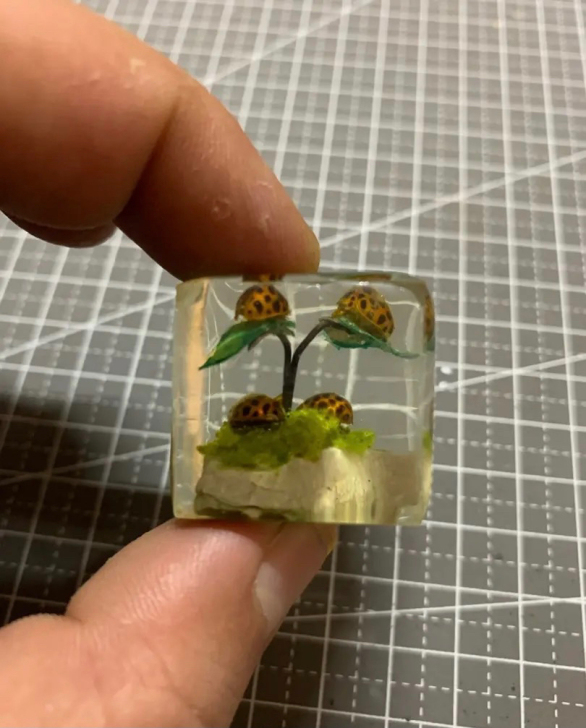 昆虫标本小摆件，40一个包邮，目前就这几个...