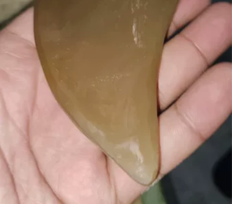 1.1厚白牦牛角三角板这个是原材料就是有瑕...