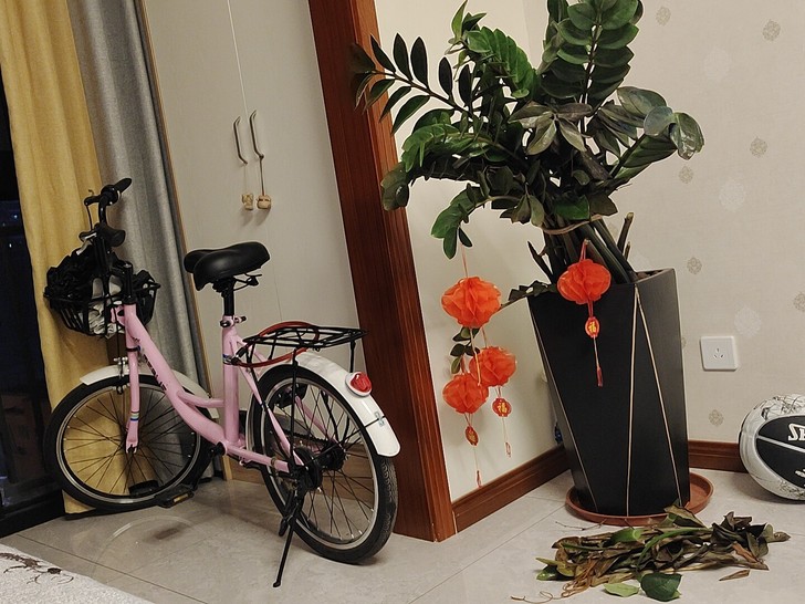 九成新，刚买，本买来上下班骑，换工作了，不...