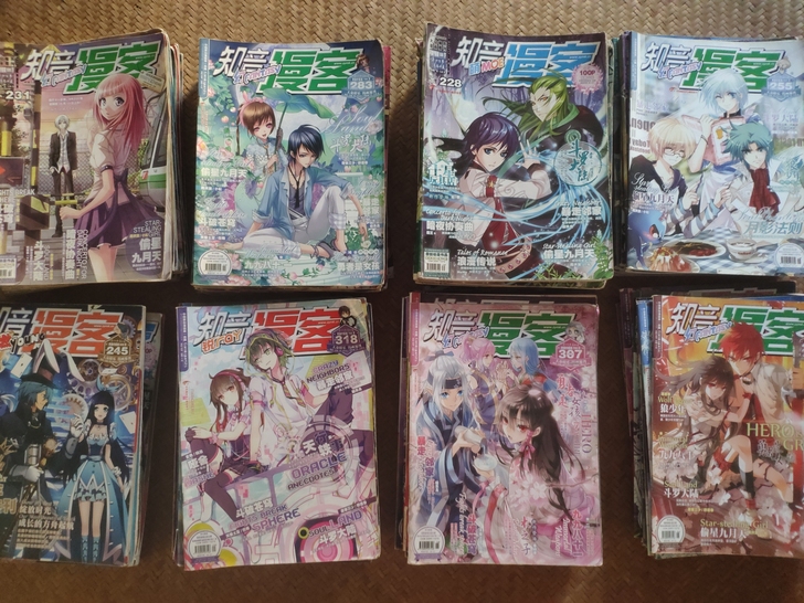 闲置漫画 知音漫客224-318期