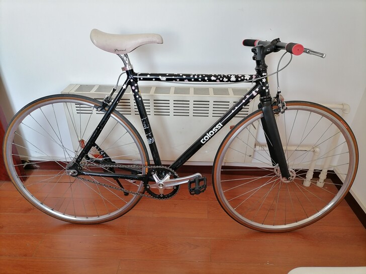 colossi死飞活飞自行车