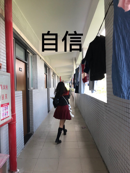 猫老师家的裙子