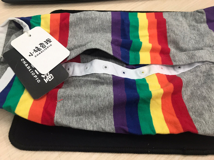 犬猫四季衣服