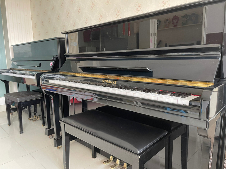品牌型号 珠江118钢琴  施特劳斯120...