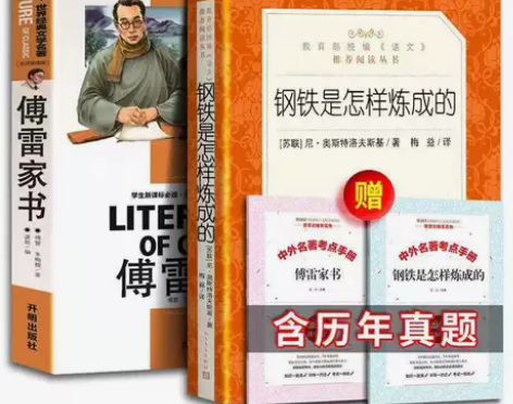 钢铁是怎样炼成的傅雷家书两本赠考点人文版八...