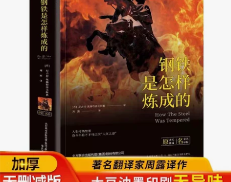 钢铁是怎样炼成的 图书 人民文学出版社（有...