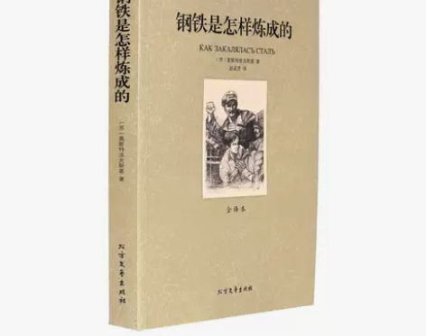 钢铁是怎样炼成的正版 全译本无删节 原著中...