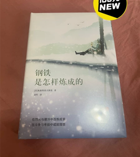 中外文学名著典藏系列：钢铁是怎样炼成的 全...