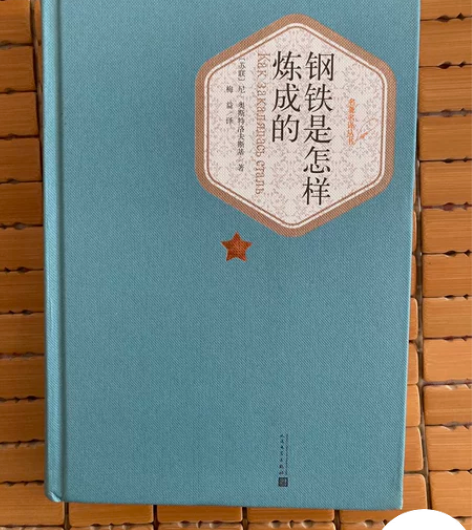 《钢铁是怎么样炼成的》by奥斯特洛夫斯基 ...