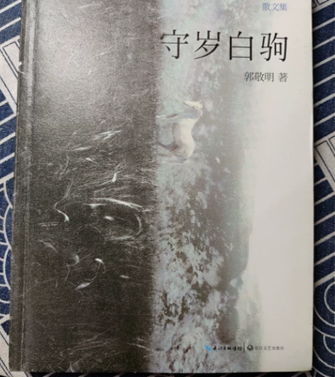 守岁白驹郭敬明文集1本 感兴趣的话点“我想...