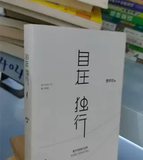 正版二手 自在独行，贾平凹的独行世界 长江...