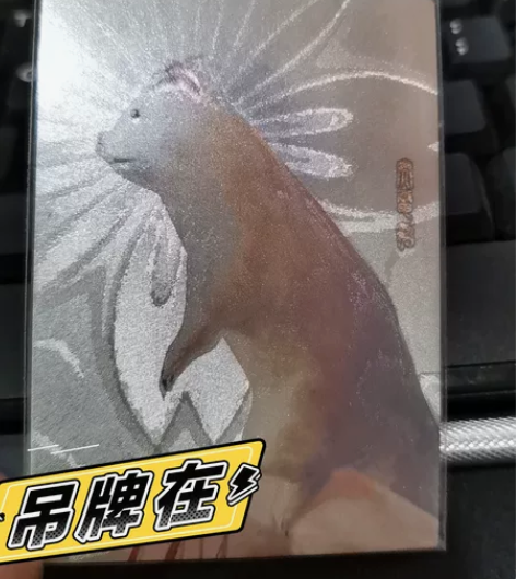 司马金庸，高级品种，司马大杀貂 天太冷了，...