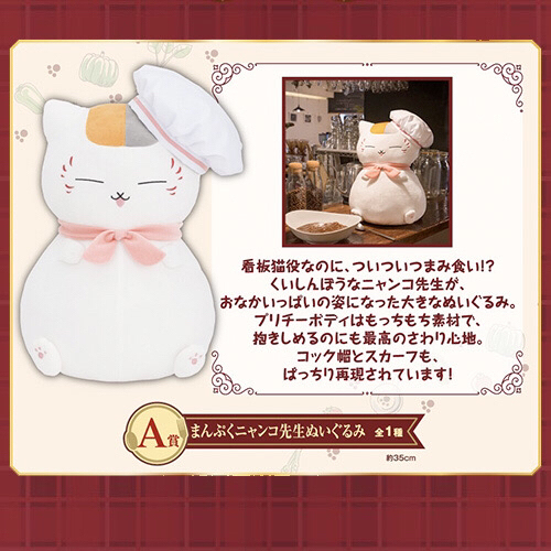 【全网低价!!】现货。猫老师的小酒馆。 夏...