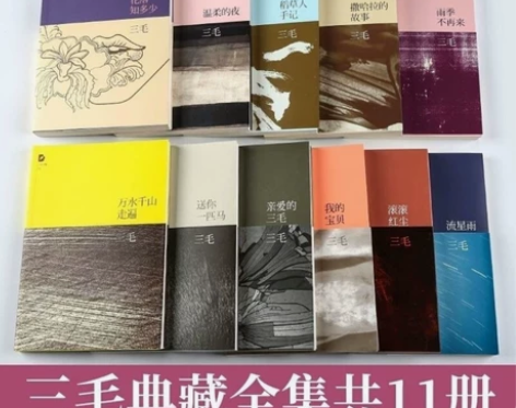 三毛作品全集11册珍藏版撒哈拉的故事雨季不...