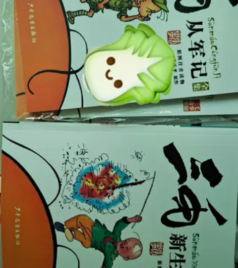 三毛流浪记全集 五本书  未拆封 感兴趣的...