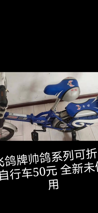 飞鸽牌帅哥系列全新50元