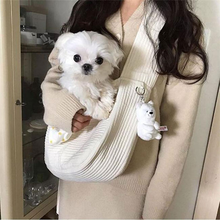 果柠莞尔 女士包 之前买来装我家狗子的 现...