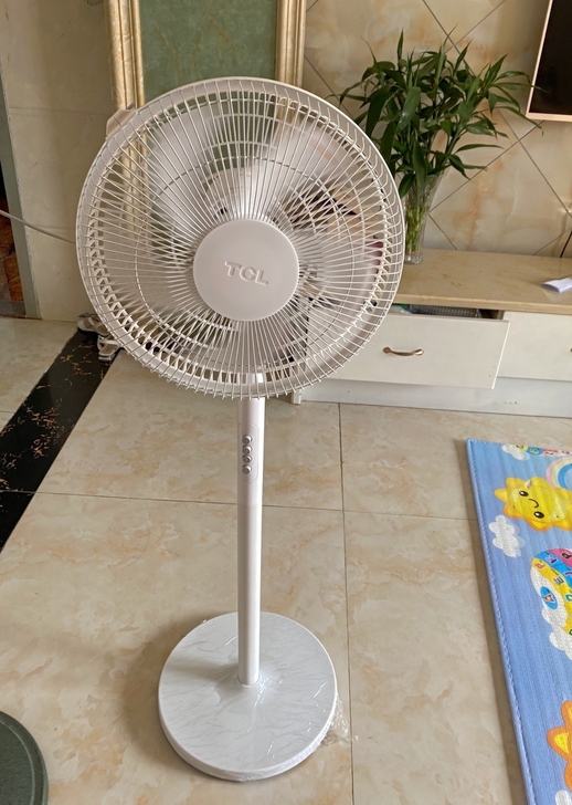 超市倒闭不做了，亏本清20台TCL电风扇落...