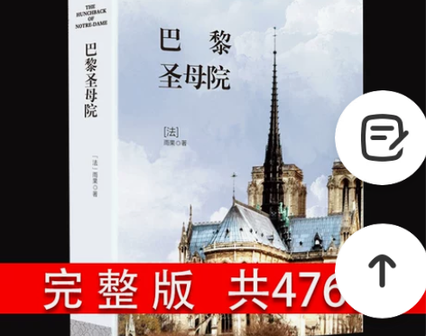 巴黎圣母院 初中巴黎圣母院 书原著雨果无删...