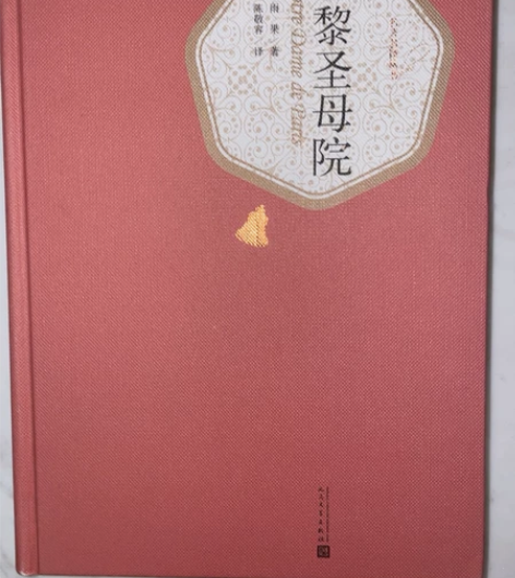 巴黎圣母院 和别的书捆出包邮 可以议价！ ...