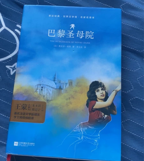 巴黎圣母院,塑料膜破损,全新 原价46.8...