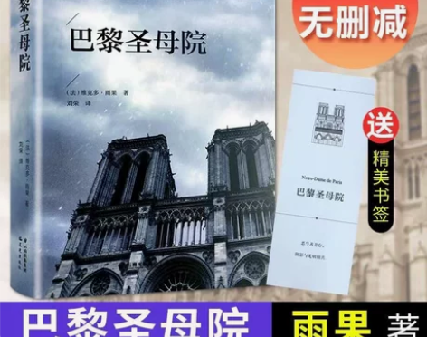 正版 巴黎圣母院 雨果原著全本无删节青少年...