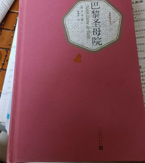 全新巴黎圣母院，拆封没翻过（单拍不发） 感...