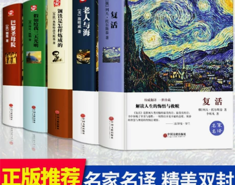 巴黎圣母院 复活巴黎圣母院全5册 世界名著...