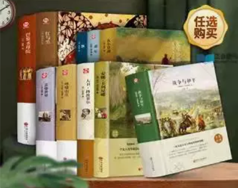 世界文学名著丛书 悲惨世界 巴黎圣母院 精...