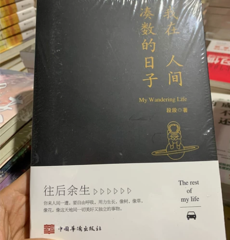 我在人间凑数的日子 段段著 需要的直接拍,...