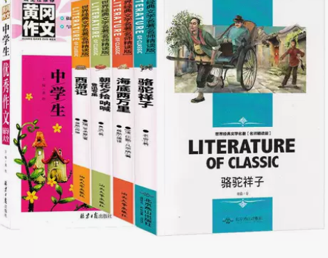 骆驼祥子海底两万里朝花夕拾呐喊西游记初中生...