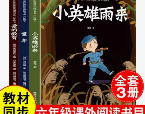 童年爱的教育小英雄雨来快乐读书吧六年级上册...