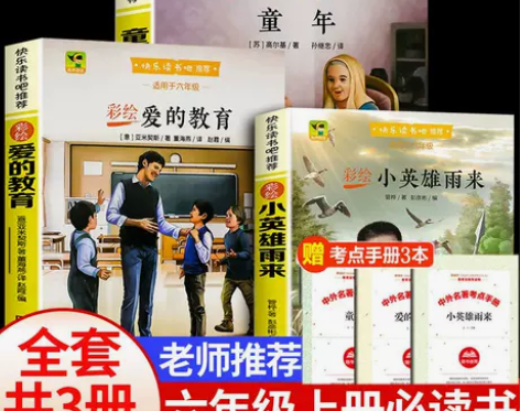 快乐读书吧六年级上册必读童年小英雄雨来爱的...