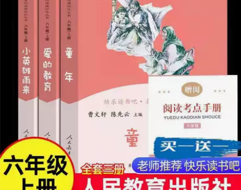 快乐读书吧六年级上册必读爱的教育小英雄雨来...