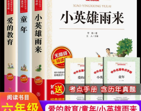 送考点手册爱的教育小英雄雨来童年书全套3册...