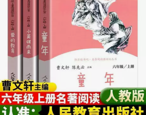 六年级上下册爱的教育童年小英雄雨来快乐读书...